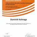 Powiększ obraz: certificate 5