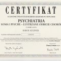 Powiększ obraz: certificate 7