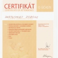 Powiększ obraz: certificate 30