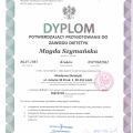 Powiększ obraz: certificate 7