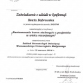 Powiększ obraz: certificate 11