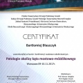 Powiększ obraz: certificate 4