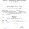 Powiększ obraz: certificate 4