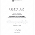 Powiększ obraz: certificate 27