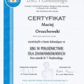 Powiększ obraz: certificate 95