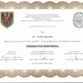 Powiększ obraz: certificate 10