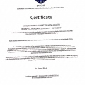 Powiększ obraz: certificate 5