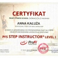 Powiększ obraz: certificate 19