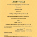 Powiększ obraz: certificate 1