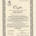 Powiększ obraz: certificate 8