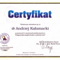 Powiększ obraz: certificate 3