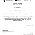 Powiększ obraz: certificate 32