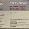 Powiększ obraz: certificate 1