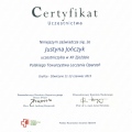 Powiększ obraz: certificate 8