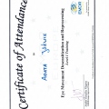Powiększ obraz: certificate 6