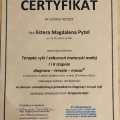 Powiększ obraz: certificate 10