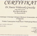 Powiększ obraz: certificate 31