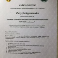 Powiększ obraz: certificate 6