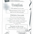 Powiększ obraz: certificate 4