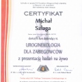 Powiększ obraz: certificate 9