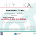 Powiększ obraz: certificate 22
