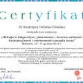 Powiększ obraz: certificate 10