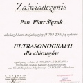 Powiększ obraz: certificate 17