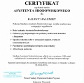 Powiększ obraz: certificate 17