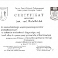 Powiększ obraz: certificate 4