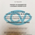 Powiększ obraz: certificate 4