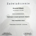 Powiększ obraz: certificate 4