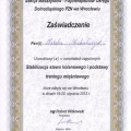 Powiększ obraz: certificate 7
