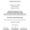 Powiększ obraz: certificate 12