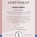 Powiększ obraz: certificate 9