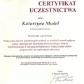 Powiększ obraz: certificate 10
