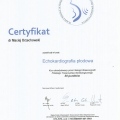 Powiększ obraz: certificate 41