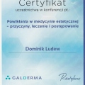 Powiększ obraz: certificate 114