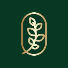 Vivere Centrum Psychoterapeutyczne