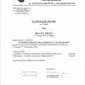Powiększ obraz: certificate 13