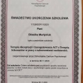 Powiększ obraz: certificate 7