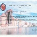 Powiększ obraz: certificate 2