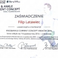Powiększ obraz: certificate 6