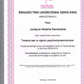 Powiększ obraz: certificate 2