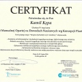 Powiększ obraz: certificate 8