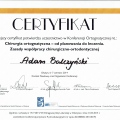 Powiększ obraz: certificate 13