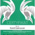 Powiększ obraz: certificate 11