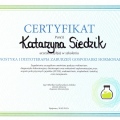 Powiększ obraz: certificate 51