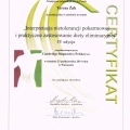 Powiększ obraz: certificate 3