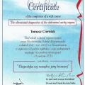 Powiększ obraz: certificate 6