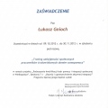 Powiększ obraz: certificate 3